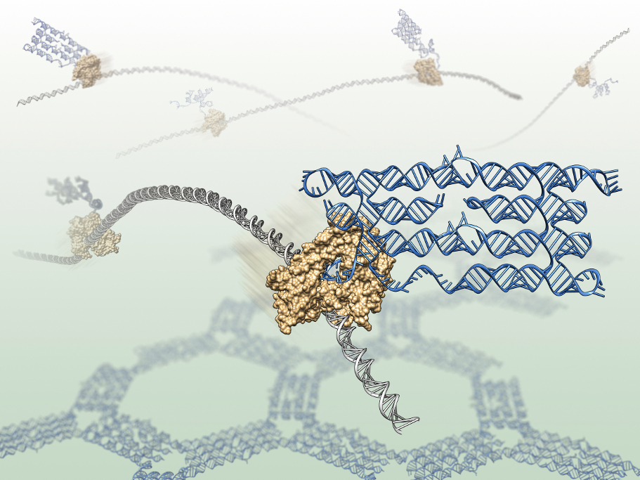 RNA origami